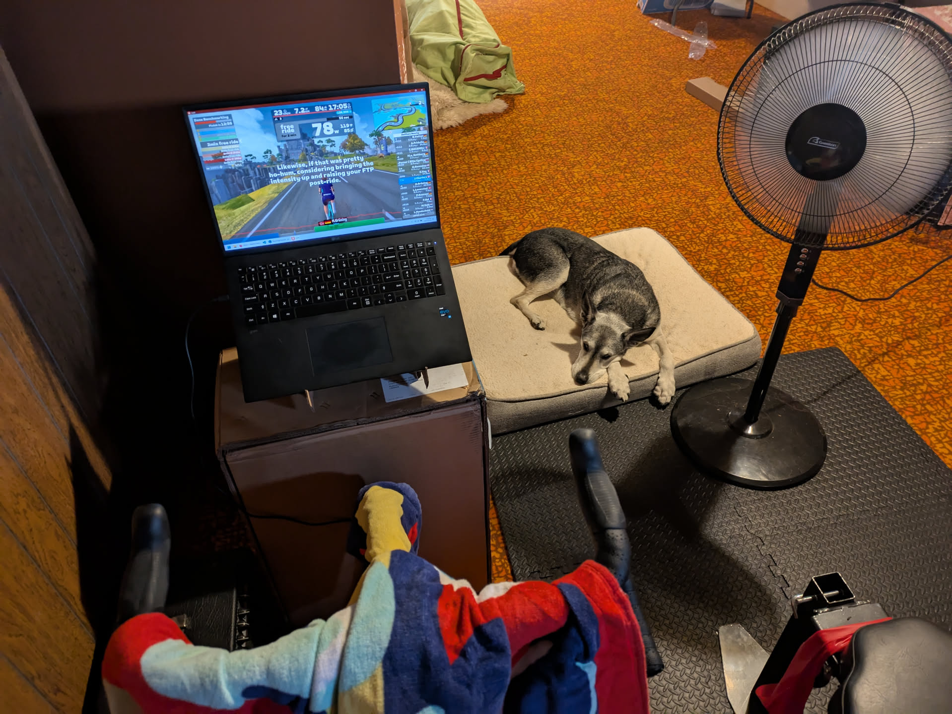 Towel, water, fan, dog. Ready to virtual ride