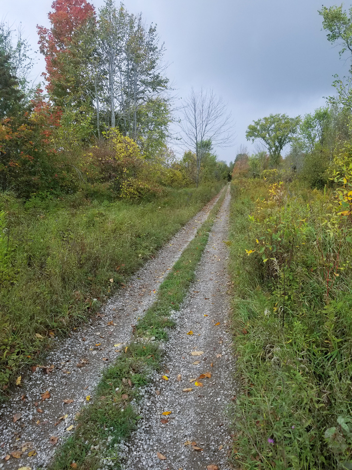 The final rail trail!