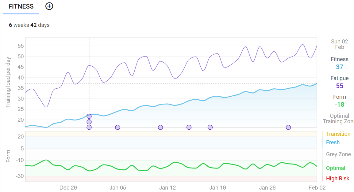 a figure showing the fitness of the author increasing since December 2024